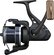 Custom Carp