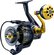 Salina Reel